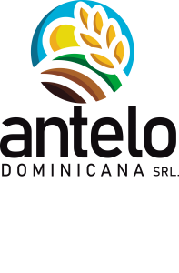 antelo